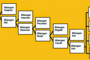 Pengenalan Jenis Jenis Bilangan Dalam Matematika