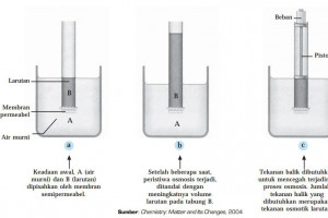 Tekanan Osmotik Beserta Contoh Soal Dan Pembahasannya