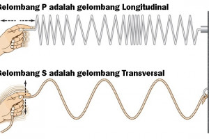 Penjelasan Gelombang Transversal Dan Longitudinal