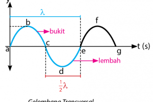 Rumus Cepat Rambat Gelombang Dan Contoh Soalnya