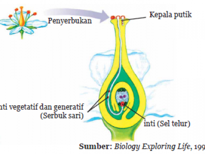 Proses Penyerbukan Pada Bunga Menurut Ahli Biologi