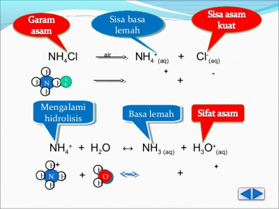 Apa Itu Hidrolisis