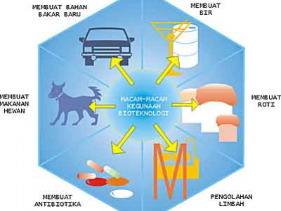 16++ Manfaat Bioteknologi Dalam Bidang Lingkungan