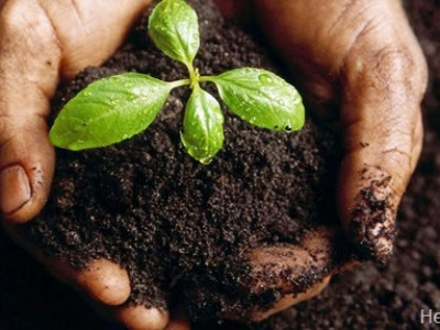 Cari Tahu Yuk Proses Pembentukan Tanah