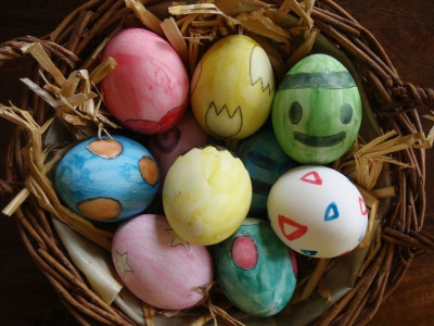 Inilah Macam Macam Telur Yang Bisa Dimakan