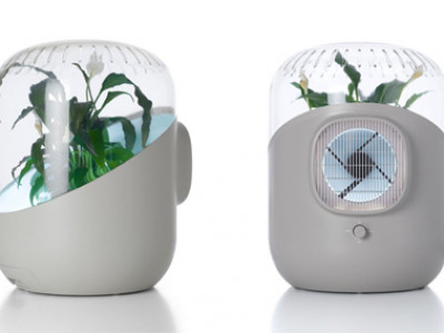 Teknologi Yang Terinspirasi Dari Struktur Jaringan Tumbuhan