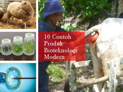 Bioteknologi Modern 10 Contoh Produk Dan Penerapannya