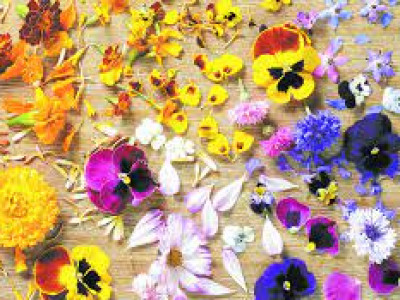 Edible Flower Bunga Yang Bisa Dimakan Awas Jangan Salah Makan