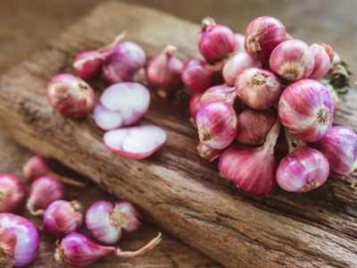 Cara Setek Umbi Lapis Bawang Putih Dan Bawang Merah