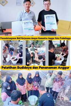 Hari Penanaman 1 Juta Pohon Dunia