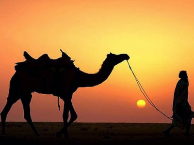 Kumpulan Kosa Kata Bahasa Arab Untuk Nama Nama Hewan