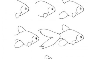 Cara Menggambar Ikan Mudah Dan Cepat Cara Menggambar Ikan Mudah Dan Cepat