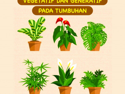 Perkembangbiakan Vegetatif Dan Generatif Pada Tumbuhan