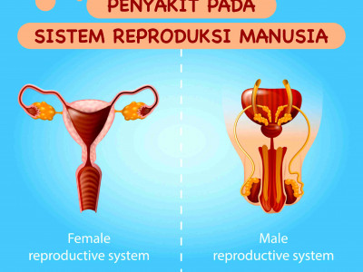 Penyakit Pada Sistem Reproduksi Manusia Penyakit Pada Sistem Reproduksi Manusia